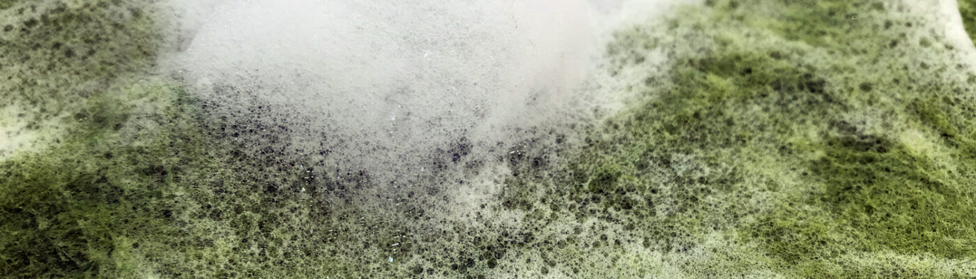kleurenfoto van zeepschuim op groene vervilte wol